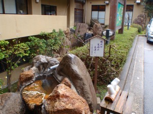 小川温泉湯元　ホテルおがわ